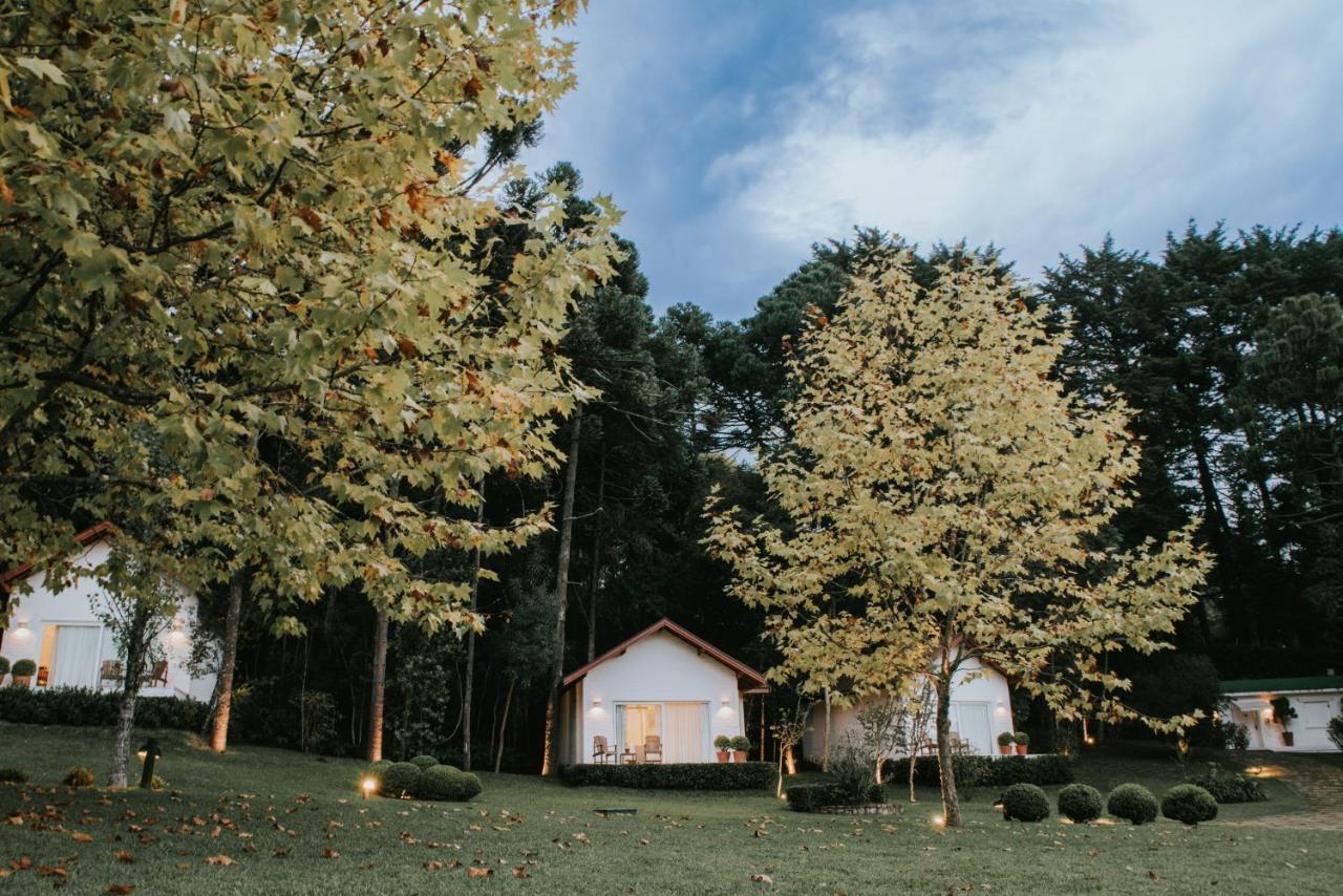 Roots Resort Monte Verde  Zewnętrze zdjęcie