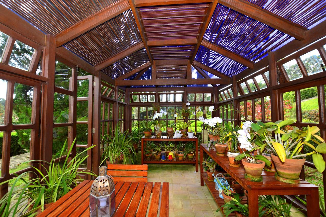 Roots Resort Monte Verde  Zewnętrze zdjęcie